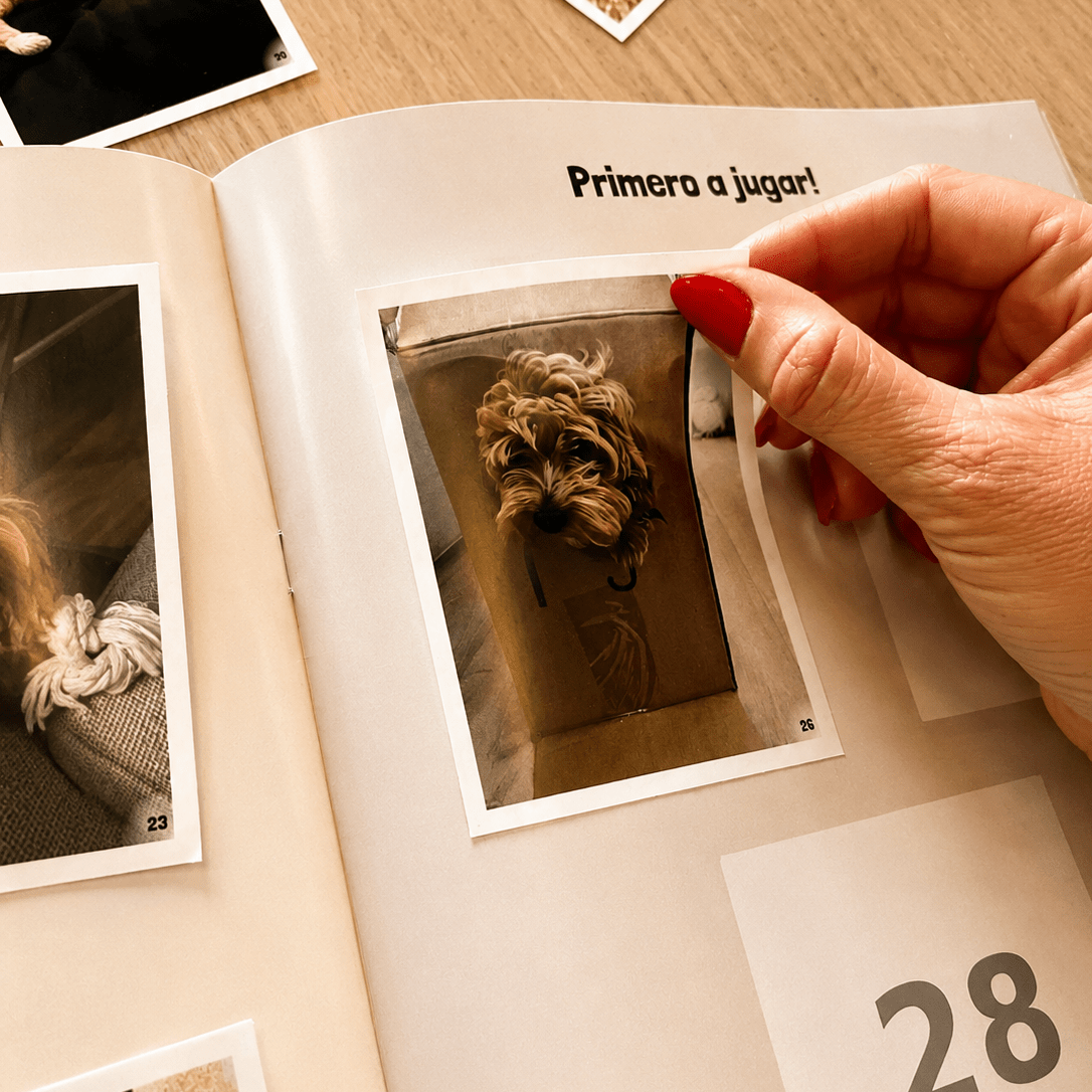 Álbum de cromos personalizado - Pli Print